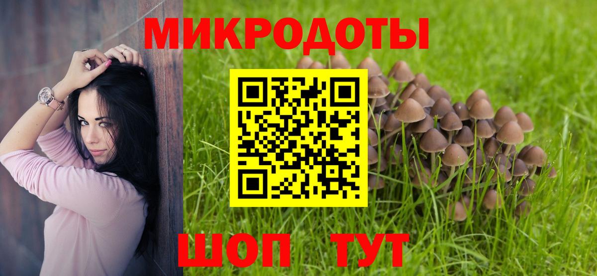 Псилоцибиновые грибы Magic Shrooms Петропавловск-Камчатский