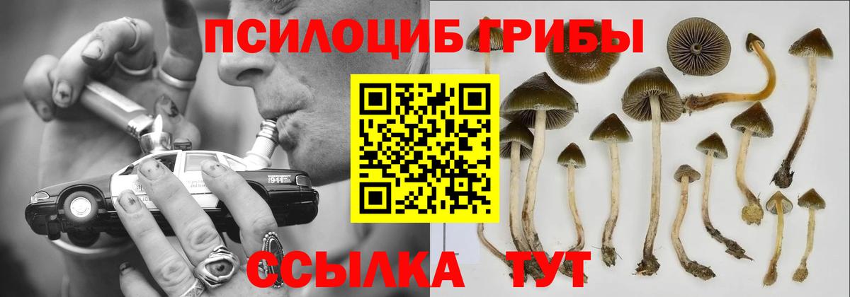 Петропавловск-Камчатский  Псилоцибиновые грибы MAGIC MUSHROOMS  Вход с VPN  Псилоцибиновые грибы ЛСД 
